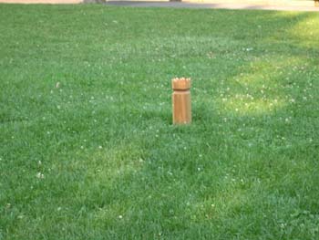 image004